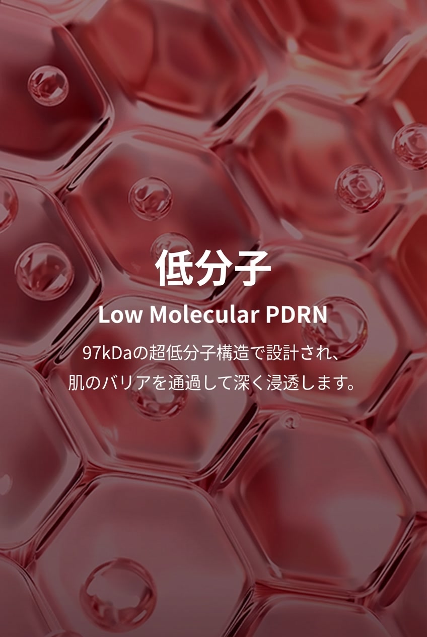 低分子