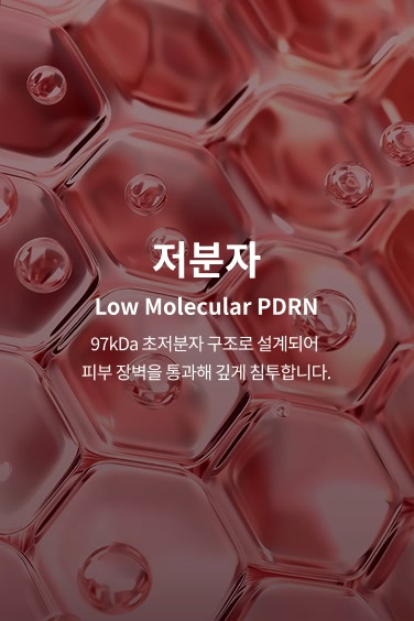저분자