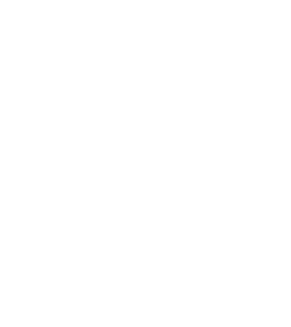 피더린 호버 로고