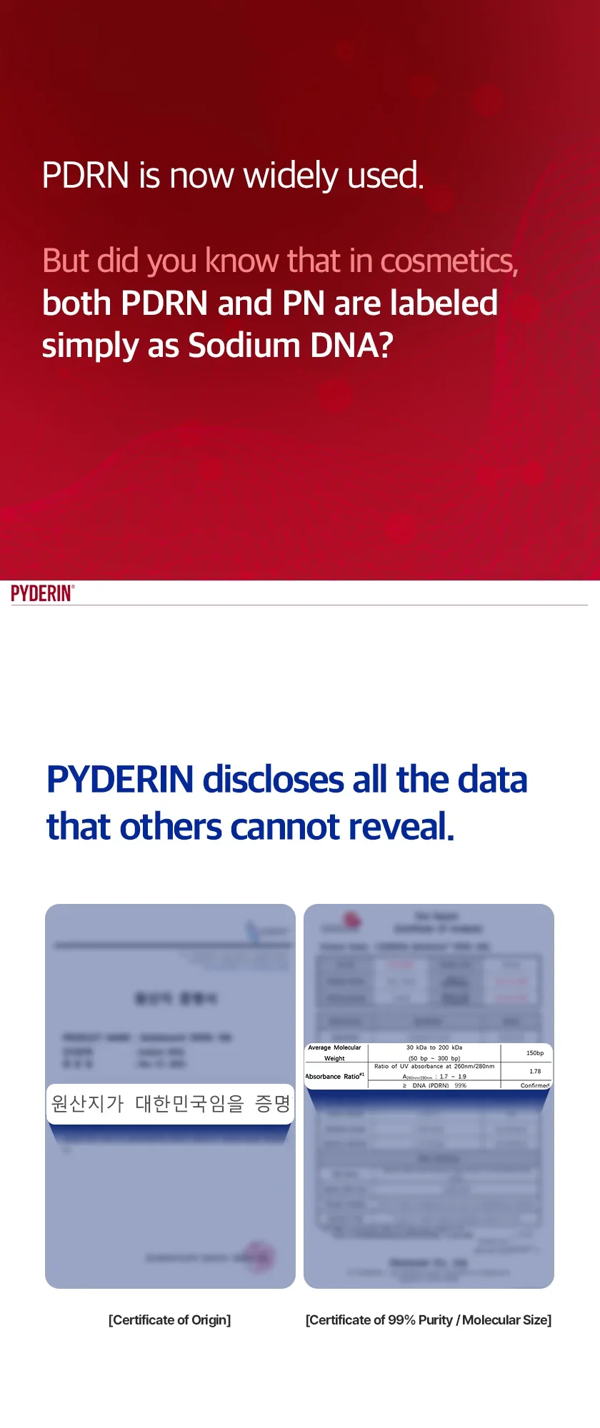 PDRN Lift Cream 상세 이미지 2